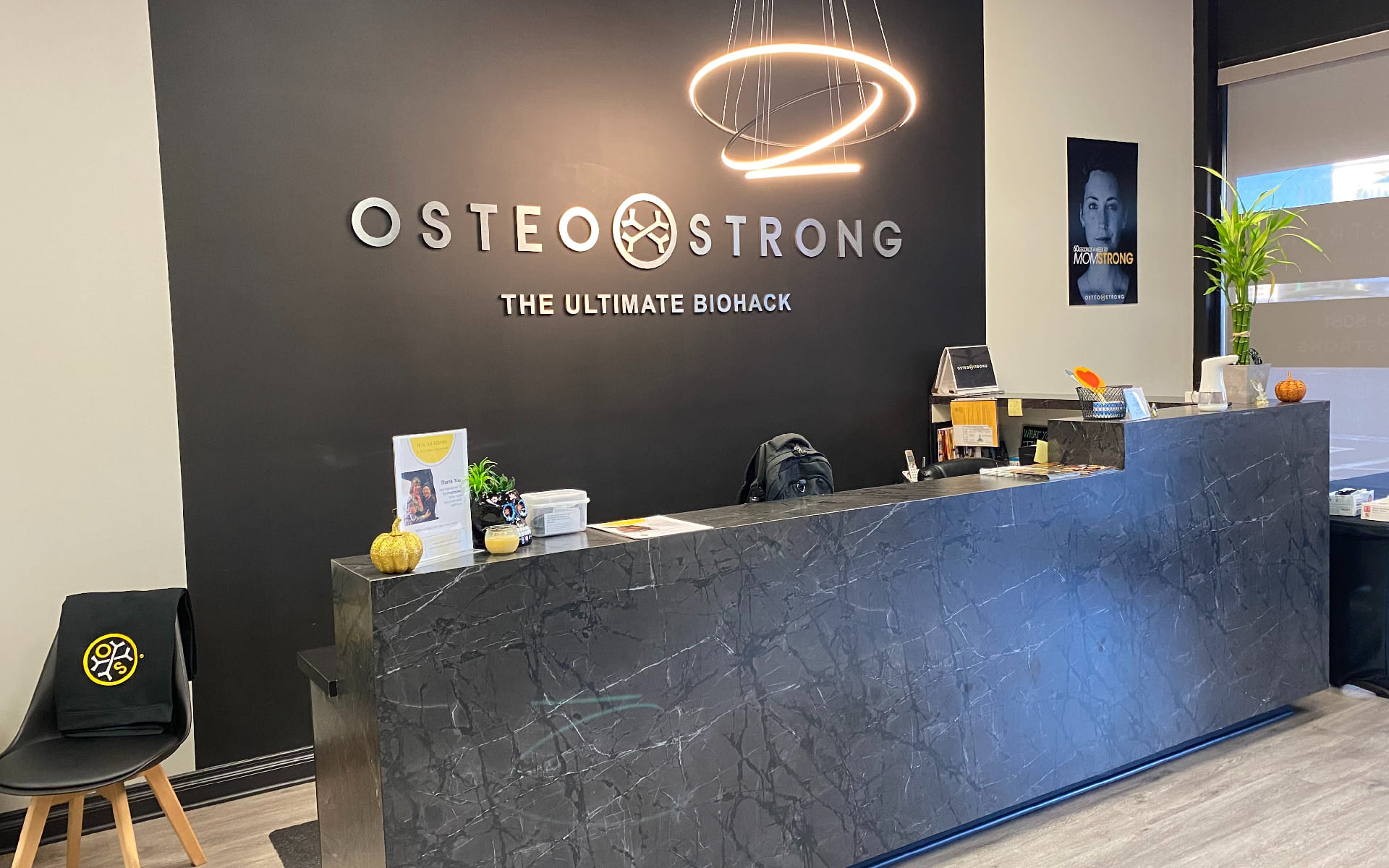 OsteoStrong Mobile  Hillcrest How to Read Your Dexa Scan Results 